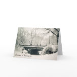 central park season's greetings cards