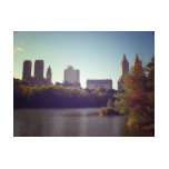 Central Park Skyline, Late Summer, New York City t-shirts