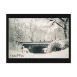 central park snow postcards