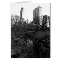 Central Park South Skyline NYC Cards