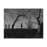 Central Park Walker Postcard
