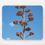 Century Plant Mousepad