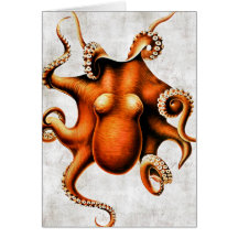 Cephalopoda of the Hawaiian Islands Card