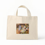 Ceraunus Blue Butterfly Blue Stripe Tote Bag