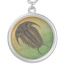 Ceraurus Fossil Trilobite Custom Jewelry