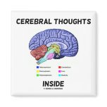 Cerebral Thoughts Inside (Brain Humor) Magnets