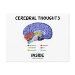 Cerebral Thoughts Inside (Brain Humour) postcards