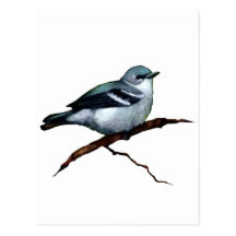 Cerulean Warbler: Bird: Oil Pastel Art on White Post Card