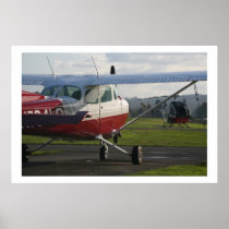 Cessna 172 and Schweizer 300C