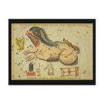 Cetus, Fornax Chemica, Machina Electrica, etcetera postcards