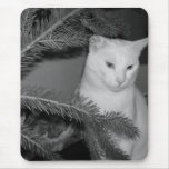 Cha' pine mousepad