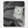 Cha' pine N&C Mouse Pad