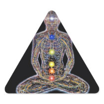 Chacras/Chakras Stickers