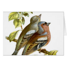 Chaffinch Cards