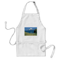Chagulak Island Apron