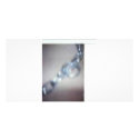 Chain photo cards