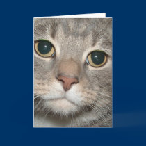 Chairman Meow Greeting Card (blank inside) cards