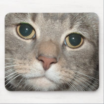 Chairman Meow Mousemat mousepads