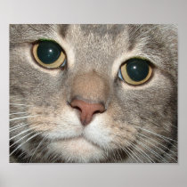 Chairman Meow Poster Print