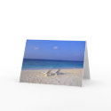 Chairs on the beach - customisable cards