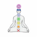 Chakra Diagram photo sculptures