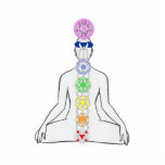 Chakra Diagram photo sculptures
