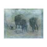 Chalk Elephants postcards