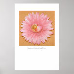 Chambered Nautilus & Pink Flower posters