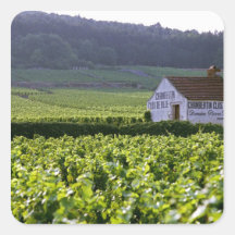 Chambertin Clos de Beze Grand Cru vineyard with Square Sticker