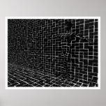 Chamelea posters