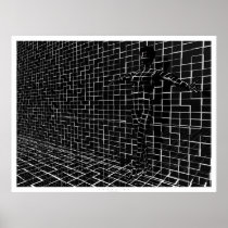 Chamelea Poster