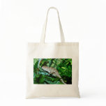 Chameleon changing in green environment bag