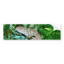Chameleon changing in green environment