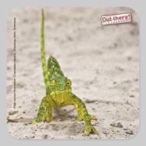 Chameleon stickers