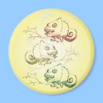 Chameleons magnets