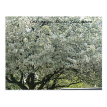 Champaign, Illinois Springtime Postcards