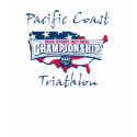Champion Logo t-shirts