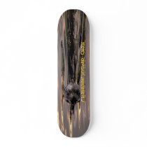 CHAMPIONSHIP SEAL skateboard