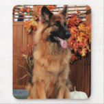 Chance -LH Shepherd & Mae - St Bernard Photo-22 mousepads