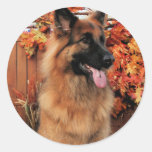 Chance -LH Shepherd & Mae - St Bernard Photo-22 Sticker