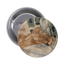 Chance Relax Pin