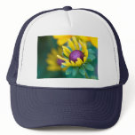 chance smitten hats