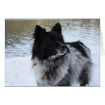 Chances Greeting Card