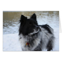 Chances Greeting Card