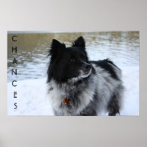 CHANCES PRINT