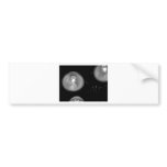 Chandelier bumper stickers