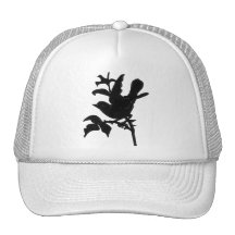 Change Background Colour Mesh Hats