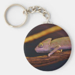 Changing Chameleon Keychain