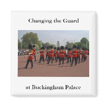 Changing the Guard Magnet