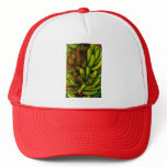 CHANGO'S PRAYER BY LIZ LOZ hats